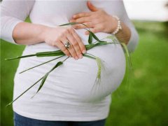 ������Ҫ������ЩӪ��